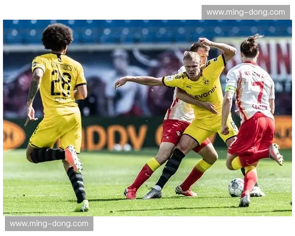 深度解读德甲豪门争霸赛季格局与未来走势全景观察报告权威解析篇